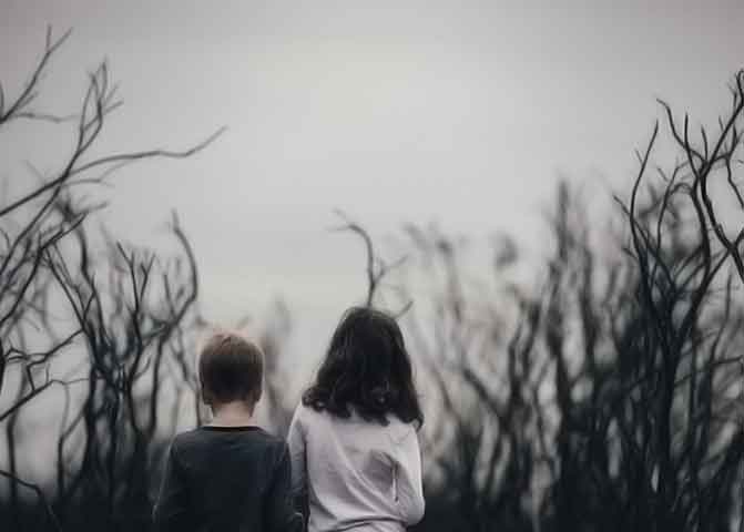 账号体验码的器测压文章